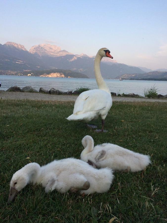 La Baie Des Voiles ,Vue Lac D'Annecy ,Plage Privee Duingt Kültér fotó